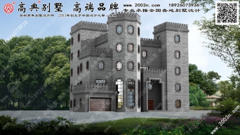 新农村小别墅设计图首层408平方米图纸编号A379